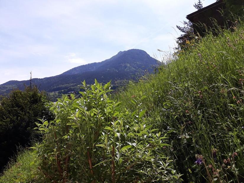 Ferienwohnung Fendt Berchtesgaden Exteriör bild
